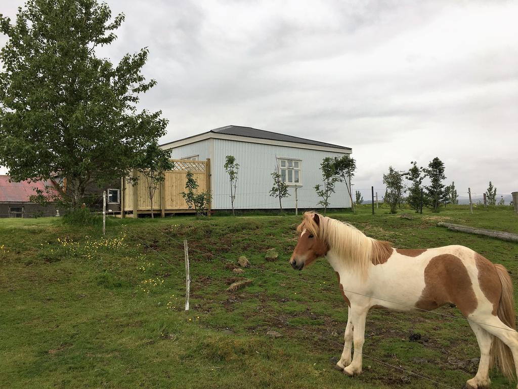 Gamla Husith - The Old House Villa Selfoss Buitenkant foto